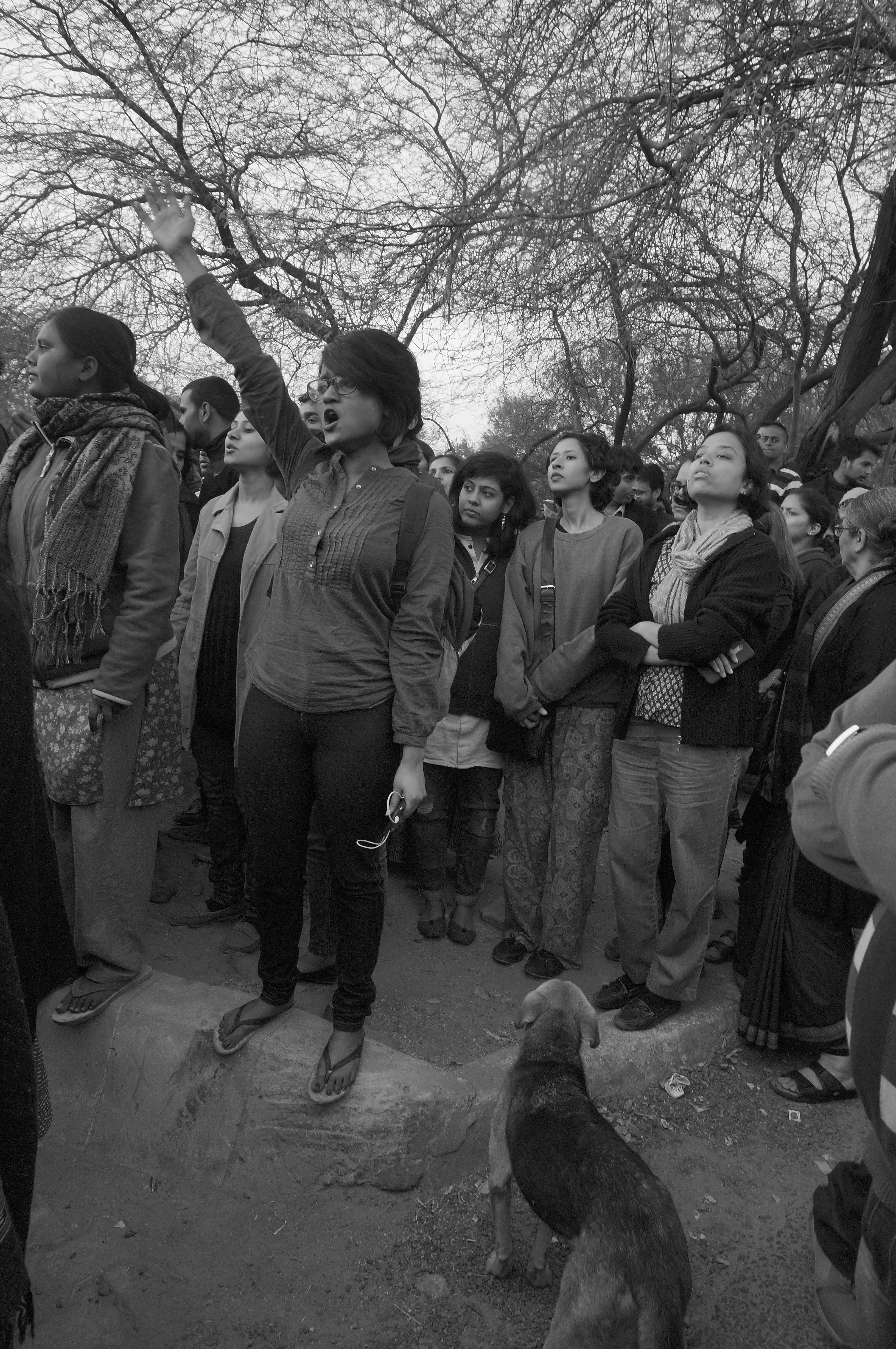 An Alibi For Incursion Of An Authoritarian Regime Onto The University