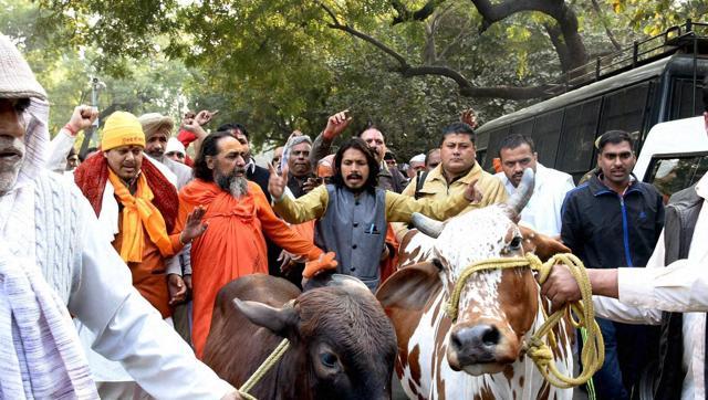 Nashik Cow Vigilantes Arrested For Murdering 23-Year-Old Man - Vimarsana News
